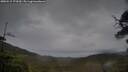 ./images/calvert/fitz-hugh-hecate/20250515/fitz-hugh-hecate20250515_173509M.jpg