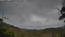 ./images/calvert/fitz-hugh-hecate/20250515/fitz-hugh-hecate20250515_174010M.jpg