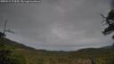 ./images/calvert/fitz-hugh-hecate/20250515/fitz-hugh-hecate20250515_174510M.jpg