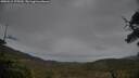 ./images/calvert/fitz-hugh-hecate/20250515/fitz-hugh-hecate20250515_175510M.jpg