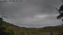./images/calvert/fitz-hugh-hecate/20250515/fitz-hugh-hecate20250515_180009M.jpg