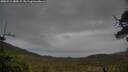 ./images/calvert/fitz-hugh-hecate/20250515/fitz-hugh-hecate20250515_180509M.jpg