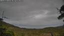 ./images/calvert/fitz-hugh-hecate/20250515/fitz-hugh-hecate20250515_181007M.jpg