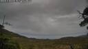 ./images/calvert/fitz-hugh-hecate/20250515/fitz-hugh-hecate20250515_181510M.jpg