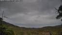 ./images/calvert/fitz-hugh-hecate/20250515/fitz-hugh-hecate20250515_182009M.jpg