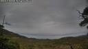 ./images/calvert/fitz-hugh-hecate/20250515/fitz-hugh-hecate20250515_182509M.jpg