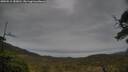 ./images/calvert/fitz-hugh-hecate/20250515/fitz-hugh-hecate20250515_183010M.jpg