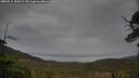 ./images/calvert/fitz-hugh-hecate/20250515/fitz-hugh-hecate20250515_183509M.jpg