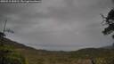 ./images/calvert/fitz-hugh-hecate/20250515/fitz-hugh-hecate20250515_184510M.jpg