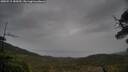 ./images/calvert/fitz-hugh-hecate/20250515/fitz-hugh-hecate20250515_185009M.jpg