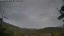 ./images/calvert/fitz-hugh-hecate/20250515/fitz-hugh-hecate20250515_190008M.jpg