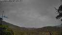 ./images/calvert/fitz-hugh-hecate/20250515/fitz-hugh-hecate20250515_190508M.jpg