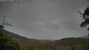 ./images/calvert/fitz-hugh-hecate/20250515/fitz-hugh-hecate20250515_191008M.jpg