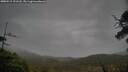 ./images/calvert/fitz-hugh-hecate/20250515/fitz-hugh-hecate20250515_191508M.jpg