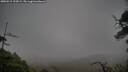 ./images/calvert/fitz-hugh-hecate/20250515/fitz-hugh-hecate20250515_192008M.jpg