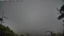 ./images/calvert/fitz-hugh-hecate/20250515/fitz-hugh-hecate20250515_192509M.jpg