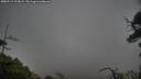 ./images/calvert/fitz-hugh-hecate/20250515/fitz-hugh-hecate20250515_193007M.jpg