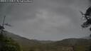 ./images/calvert/fitz-hugh-hecate/20250515/fitz-hugh-hecate20250515_194008M.jpg