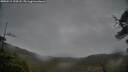 ./images/calvert/fitz-hugh-hecate/20250515/fitz-hugh-hecate20250515_194508M.jpg