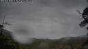 ./images/calvert/fitz-hugh-hecate/20250515/fitz-hugh-hecate20250515_195009M.jpg