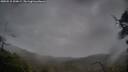 ./images/calvert/fitz-hugh-hecate/20250515/fitz-hugh-hecate20250515_200009M.jpg