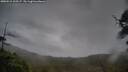 ./images/calvert/fitz-hugh-hecate/20250515/fitz-hugh-hecate20250515_200507M.jpg