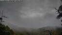 ./images/calvert/fitz-hugh-hecate/20250515/fitz-hugh-hecate20250515_202006M.jpg