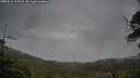 ./images/calvert/fitz-hugh-hecate/20250515/fitz-hugh-hecate20250515_202508M.jpg