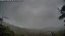 ./images/calvert/fitz-hugh-hecate/20250515/fitz-hugh-hecate20250515_203009M.jpg