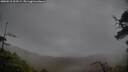 ./images/calvert/fitz-hugh-hecate/20250515/fitz-hugh-hecate20250515_204508M.jpg