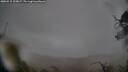 ./images/calvert/fitz-hugh-hecate/20250515/fitz-hugh-hecate20250515_205007M.jpg