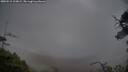 ./images/calvert/fitz-hugh-hecate/20250515/fitz-hugh-hecate20250515_210008M.jpg