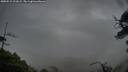 ./images/calvert/fitz-hugh-hecate/20250515/fitz-hugh-hecate20250515_211008M.jpg