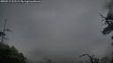 ./images/calvert/fitz-hugh-hecate/20250515/fitz-hugh-hecate20250515_211508M.jpg