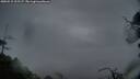 ./images/calvert/fitz-hugh-hecate/20250515/fitz-hugh-hecate20250515_212506M.jpg