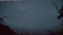 ./images/calvert/fitz-hugh-hecate/20250515/fitz-hugh-hecate20250515_214508M.jpg