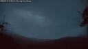 ./images/calvert/fitz-hugh-hecate/20250515/fitz-hugh-hecate20250515_215007M.jpg