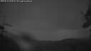 ./images/calvert/fitz-hugh-hecate/20250515/fitz-hugh-hecate20250515_215508M.jpg