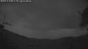 ./images/calvert/fitz-hugh-hecate/20250515/fitz-hugh-hecate20250515_220008M.jpg