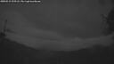 ./images/calvert/fitz-hugh-hecate/20250515/fitz-hugh-hecate20250515_220508M.jpg