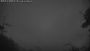 ./images/calvert/fitz-hugh-hecate/20250516/fitz-hugh-hecate20250516_050009M.jpg