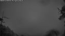 ./images/calvert/fitz-hugh-hecate/20250516/fitz-hugh-hecate20250516_051008M.jpg