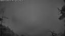 ./images/calvert/fitz-hugh-hecate/20250516/fitz-hugh-hecate20250516_051508M.jpg