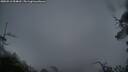 ./images/calvert/fitz-hugh-hecate/20250516/fitz-hugh-hecate20250516_054008M.jpg