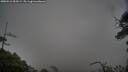 ./images/calvert/fitz-hugh-hecate/20250516/fitz-hugh-hecate20250516_055008M.jpg