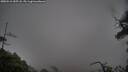 ./images/calvert/fitz-hugh-hecate/20250516/fitz-hugh-hecate20250516_055508M.jpg
