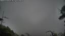 ./images/calvert/fitz-hugh-hecate/20250516/fitz-hugh-hecate20250516_061007M.jpg