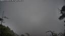 ./images/calvert/fitz-hugh-hecate/20250516/fitz-hugh-hecate20250516_061508M.jpg