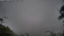 ./images/calvert/fitz-hugh-hecate/20250516/fitz-hugh-hecate20250516_062008M.jpg