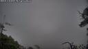 ./images/calvert/fitz-hugh-hecate/20250516/fitz-hugh-hecate20250516_063010M.jpg